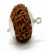Rudraksha Bead with 10 Faces