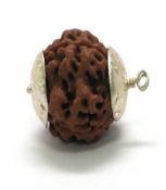 Rudraksha Bead with 3 Faces