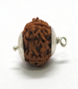 Rudraksha Bead with 4 Faces