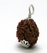 Rudraksha Bead with 8 Faces