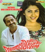 Natholi Oru Cheriya Meenalla Malayalam DVD