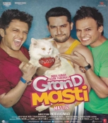 Grand Masti Hindi DVD